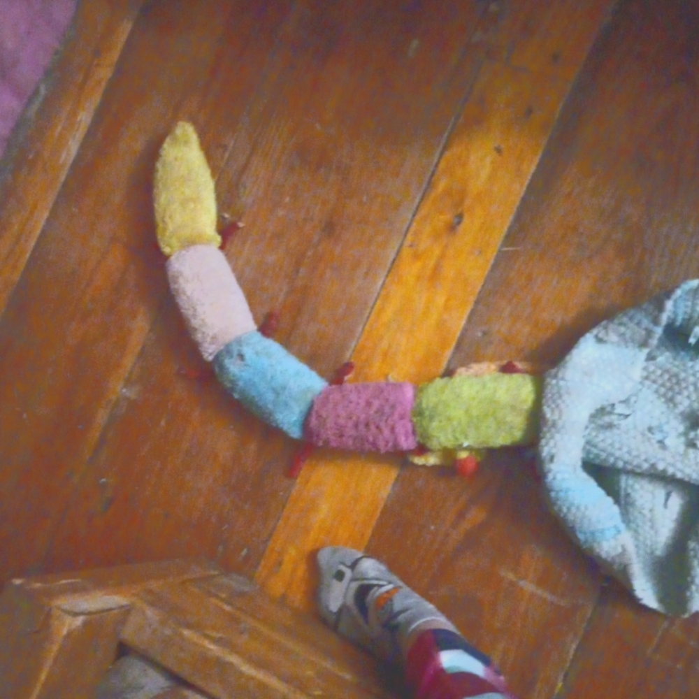 Dog toy worm